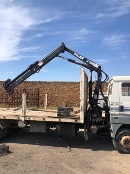 CAMION CON PLUMA AUTO CARGANTE